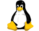 Linux Web Hosting in Dubai