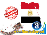  4000 targeted visitors from Egypt  